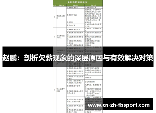 赵鹏：剖析欠薪现象的深层原因与有效解决对策