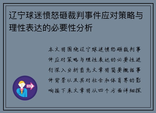 辽宁球迷愤怒砸裁判事件应对策略与理性表达的必要性分析