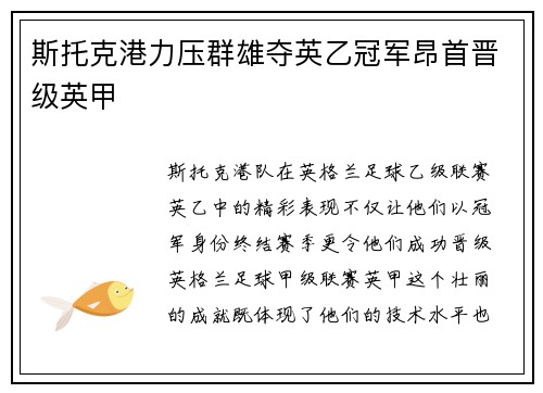 斯托克港力压群雄夺英乙冠军昂首晋级英甲 斯托克港力压群雄夺英乙冠军昂首晋级英甲